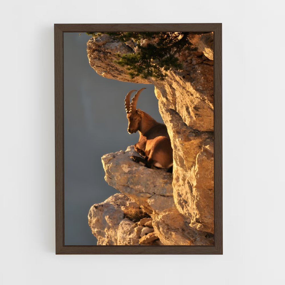 ap-mountain goat-7 cadre Bois foncé