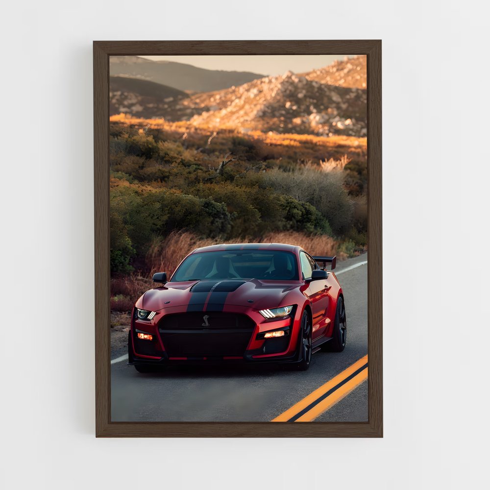 ap-mustang cobra-1 cadre Bois foncé
