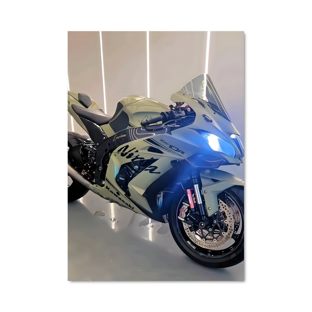 Poster Ninja En Garde