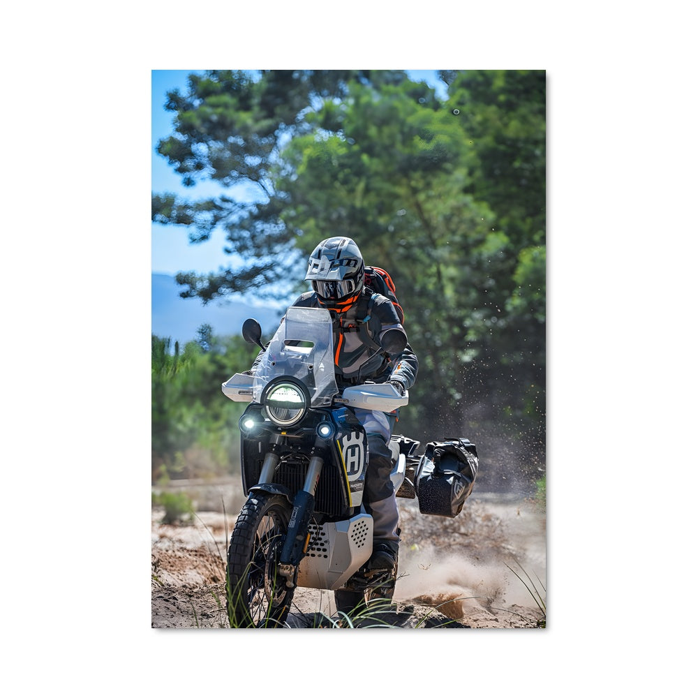 Poster L'Aventurier de la Route