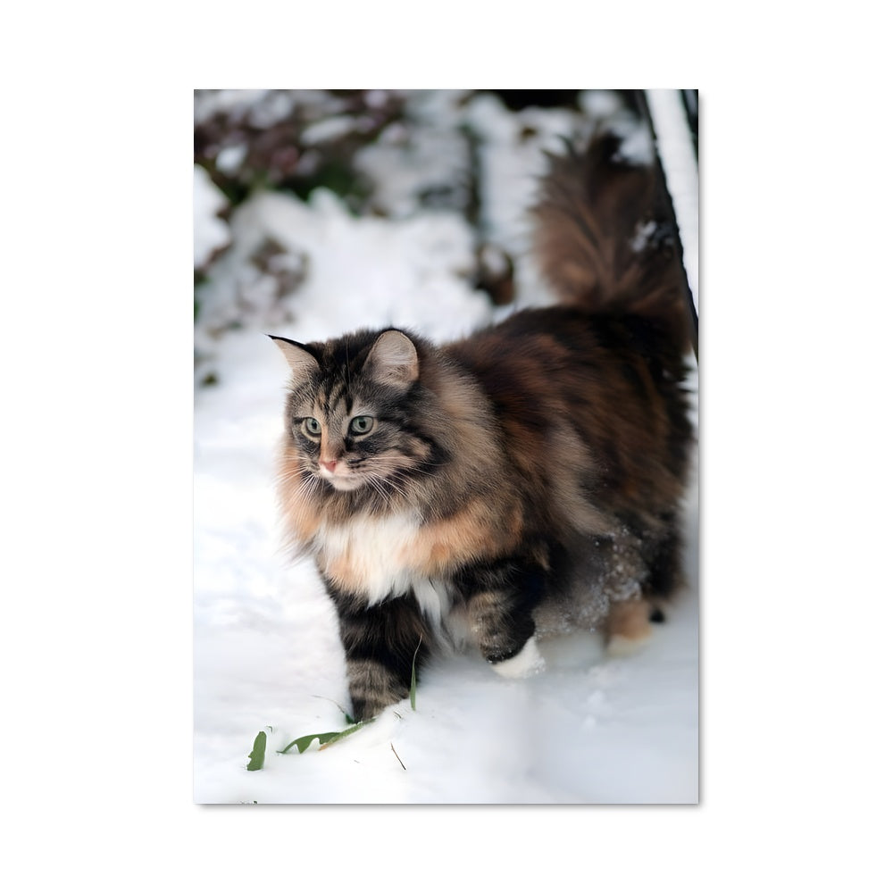 Poster Flocon de Mousse