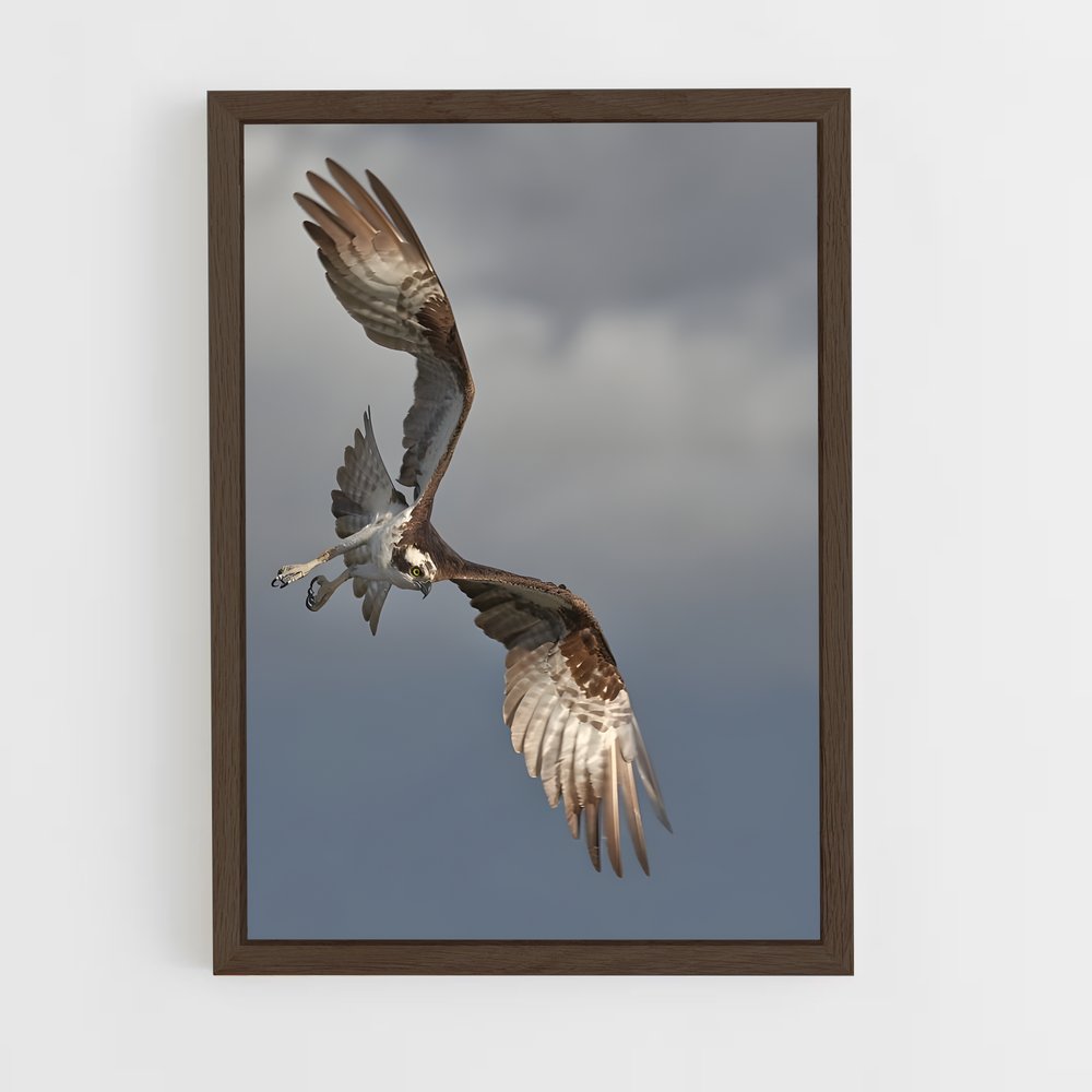 ap-osprey-1 cadre Bois foncé