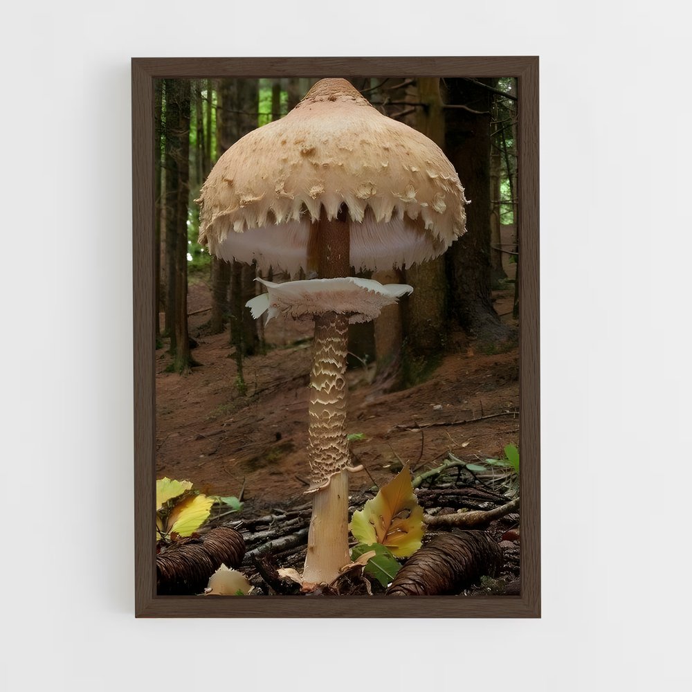 ap-parasol mushroom-1 cadre Bois foncé