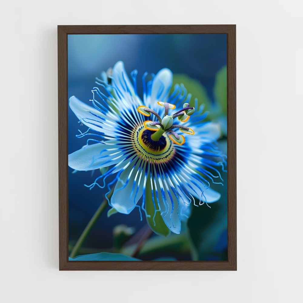 ap-passion flower-6 cadre Bois foncé