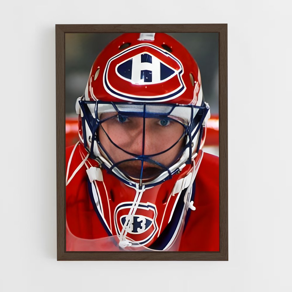 ap-patrick roy-2 cadre Bois foncé