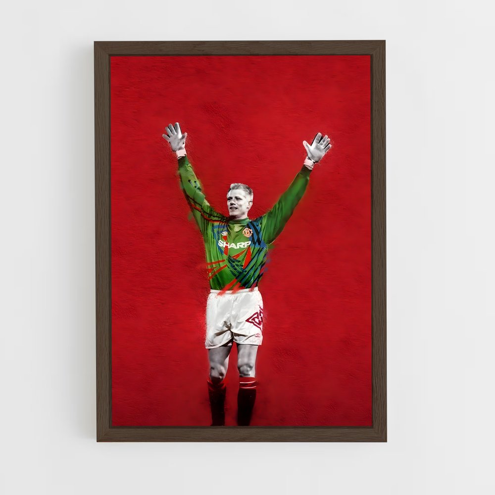 ap-peter schmeichel-8 cadre Bois foncé
