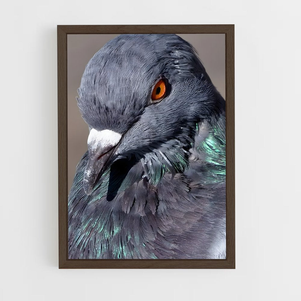 ap-pigeon-2 cadre Bois foncé