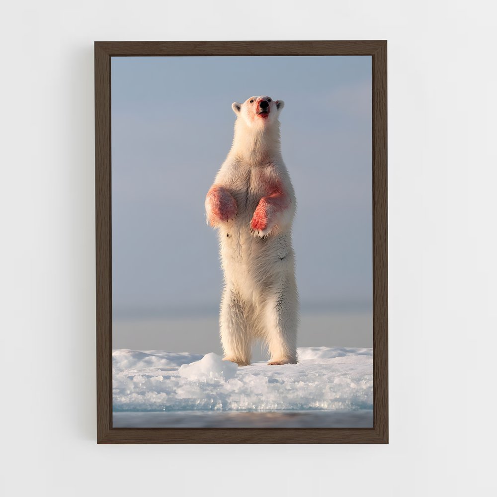 ap-polar bear-7 cadre Bois foncé
