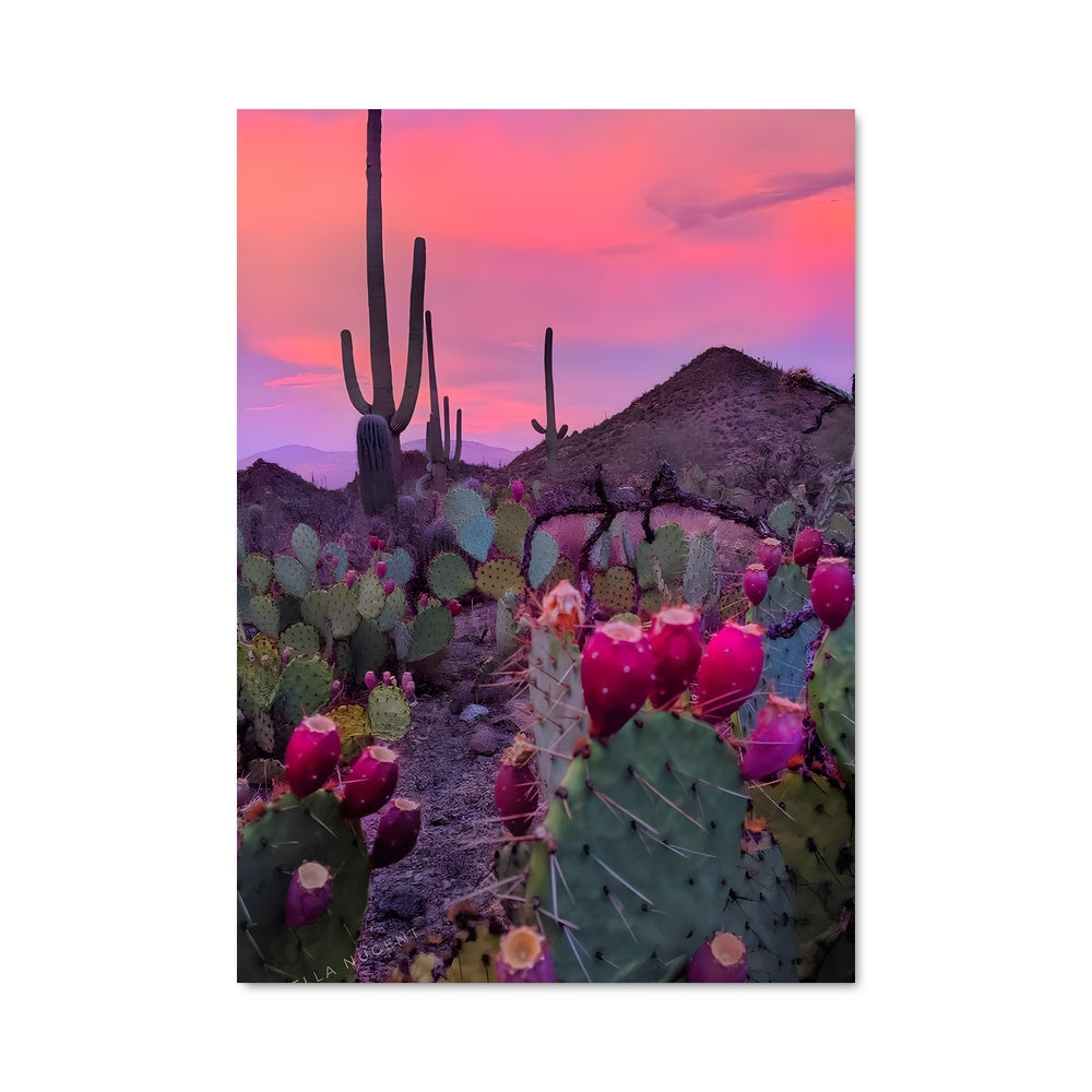 Poster Cactus au Crépuscule