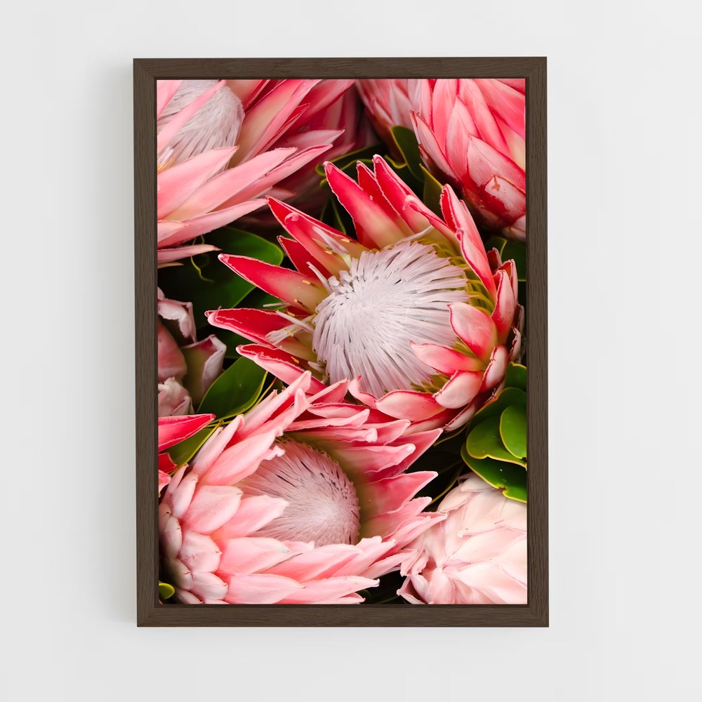 ap-protea-6 cadre Bois foncé