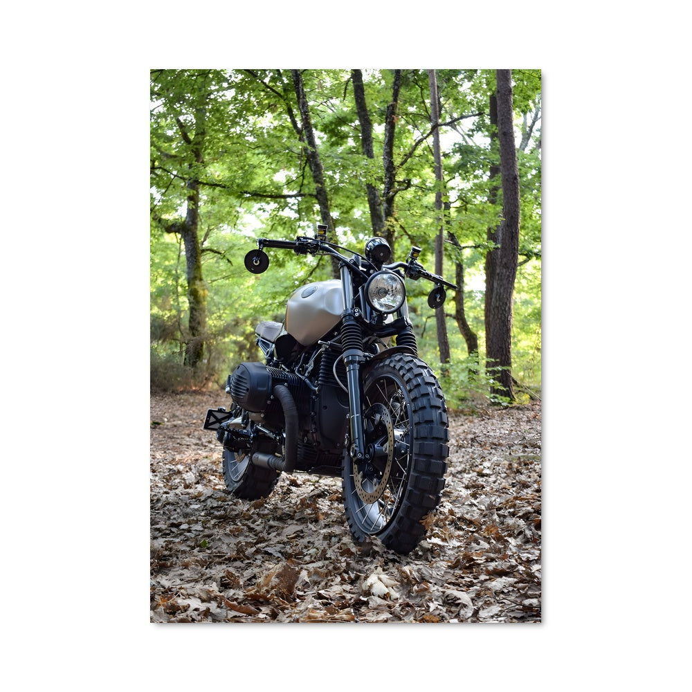 Poster Balade Sauvage