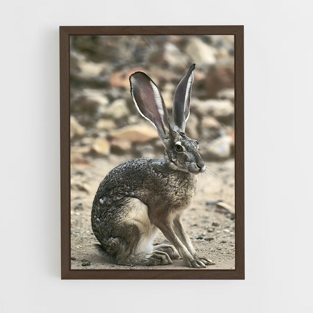 ap-rabbit-7 cadre Bois foncé