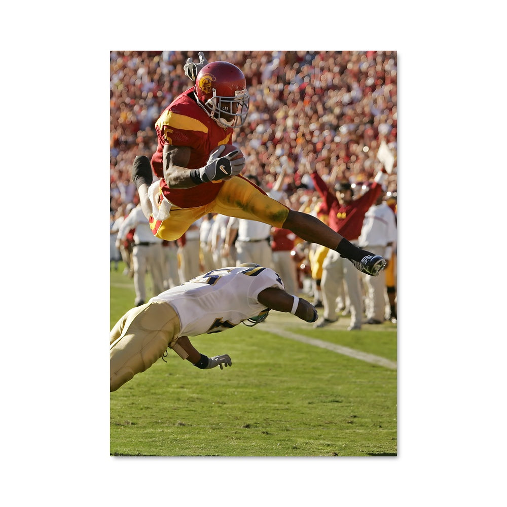 Poster Reggie bush 57669