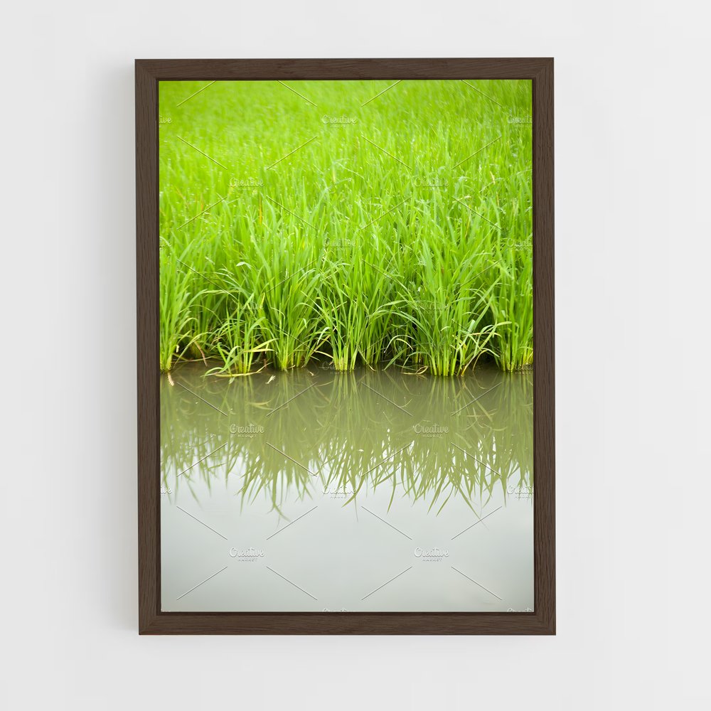 ap-rice-7 cadre Bois foncé