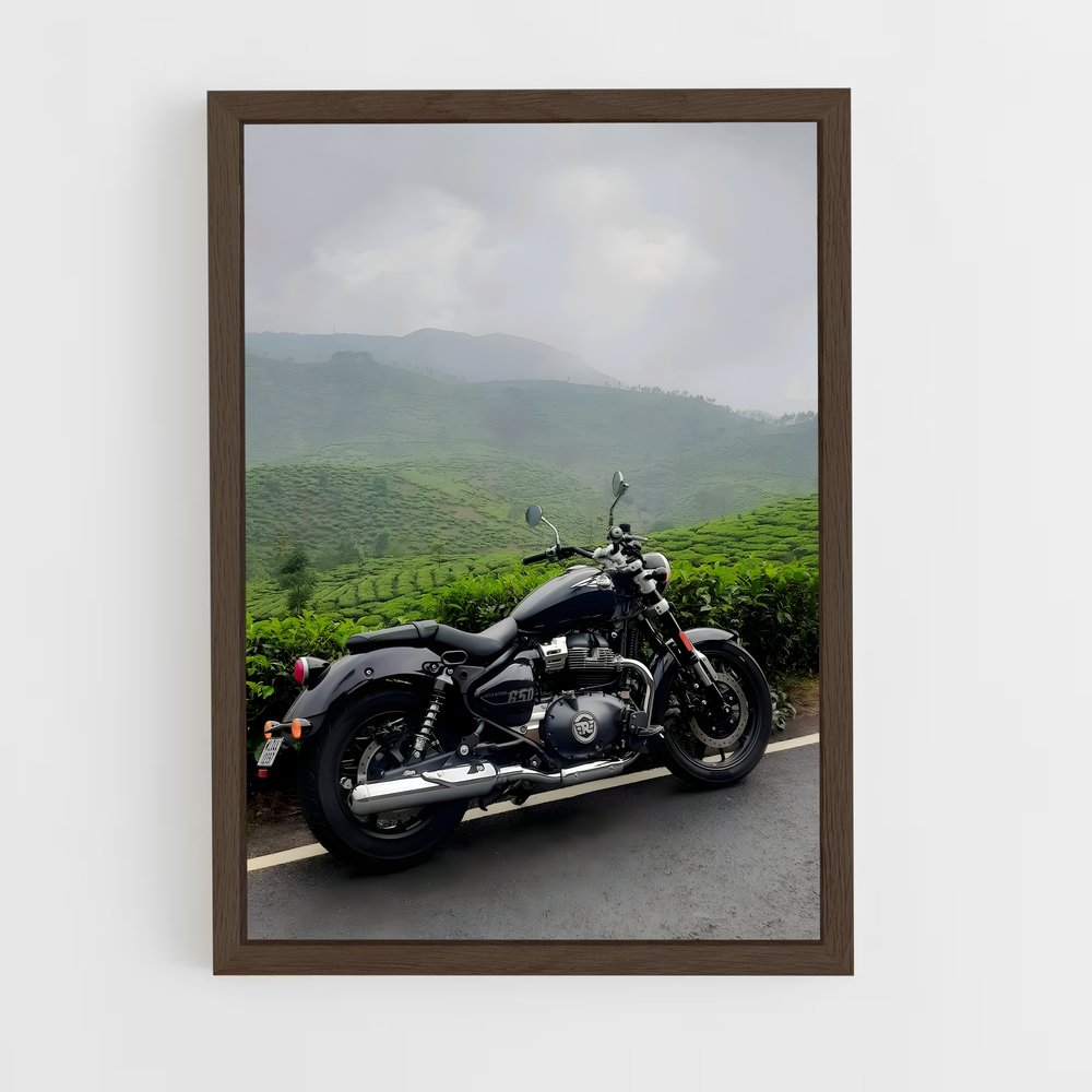 ap-royal enfield-1 cadre Bois foncé