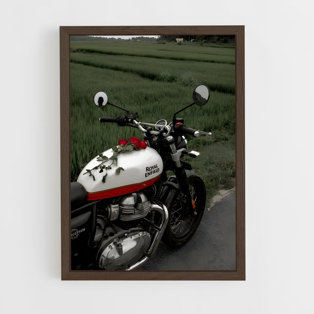 ap-royal enfield-10 cadre Bois foncé