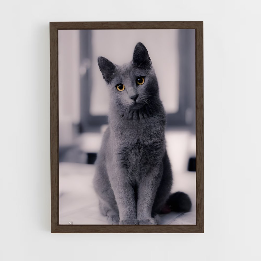 ap-russian blue-1 cadre Bois foncé