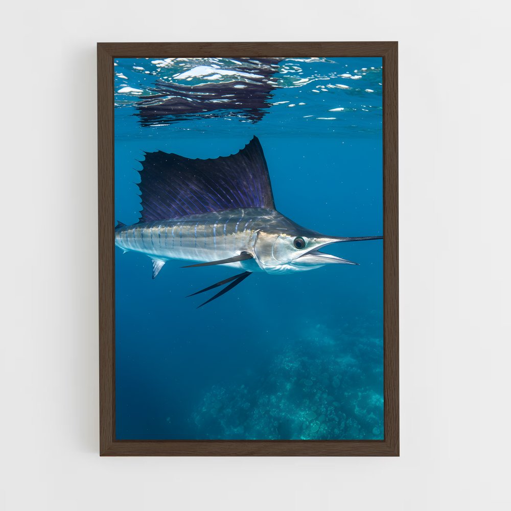 ap-sailfish-3 cadre Bois foncé