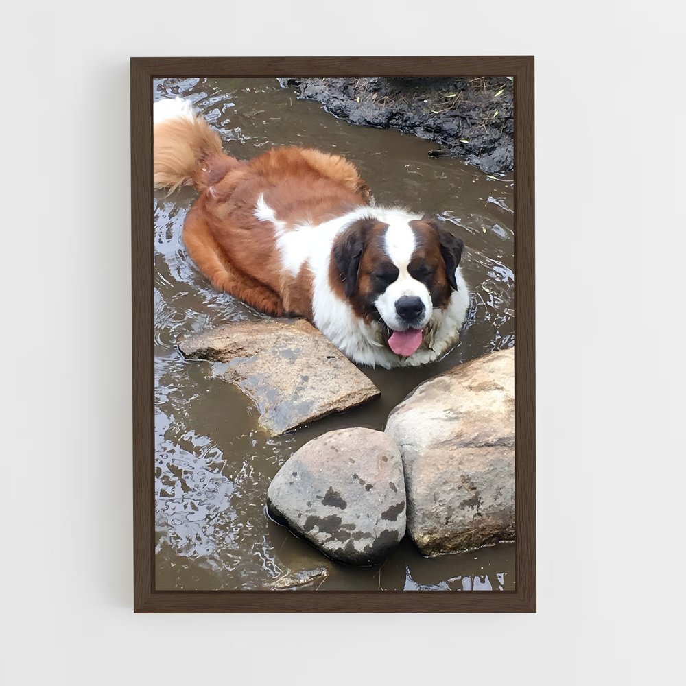 ap-saint bernard-2 cadre Bois foncé