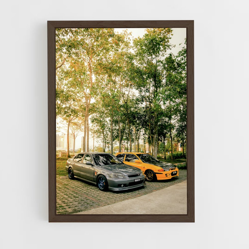 ap-satria gti-5 cadre Bois foncé