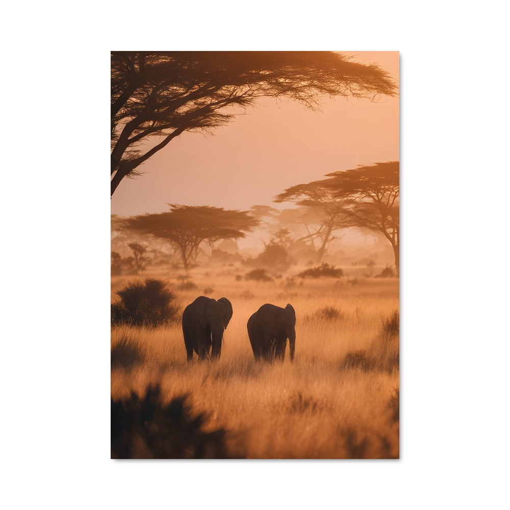 Poster Savanna 97537