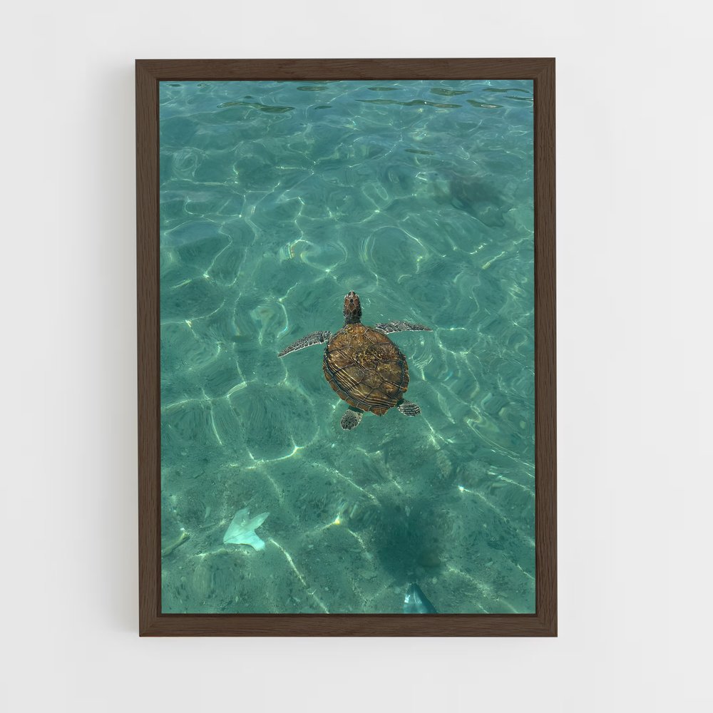 ap-sea turtle-6 cadre Bois foncé
