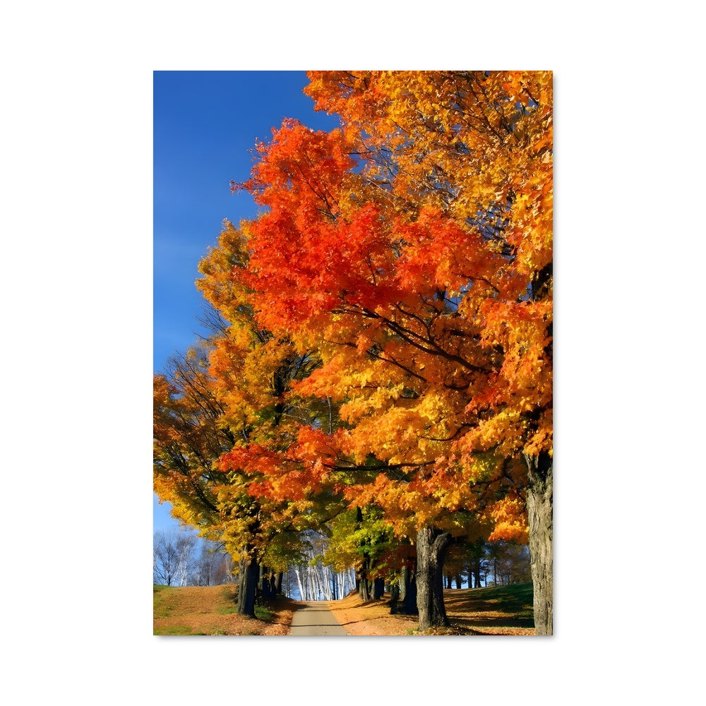 Poster Seasons 97585