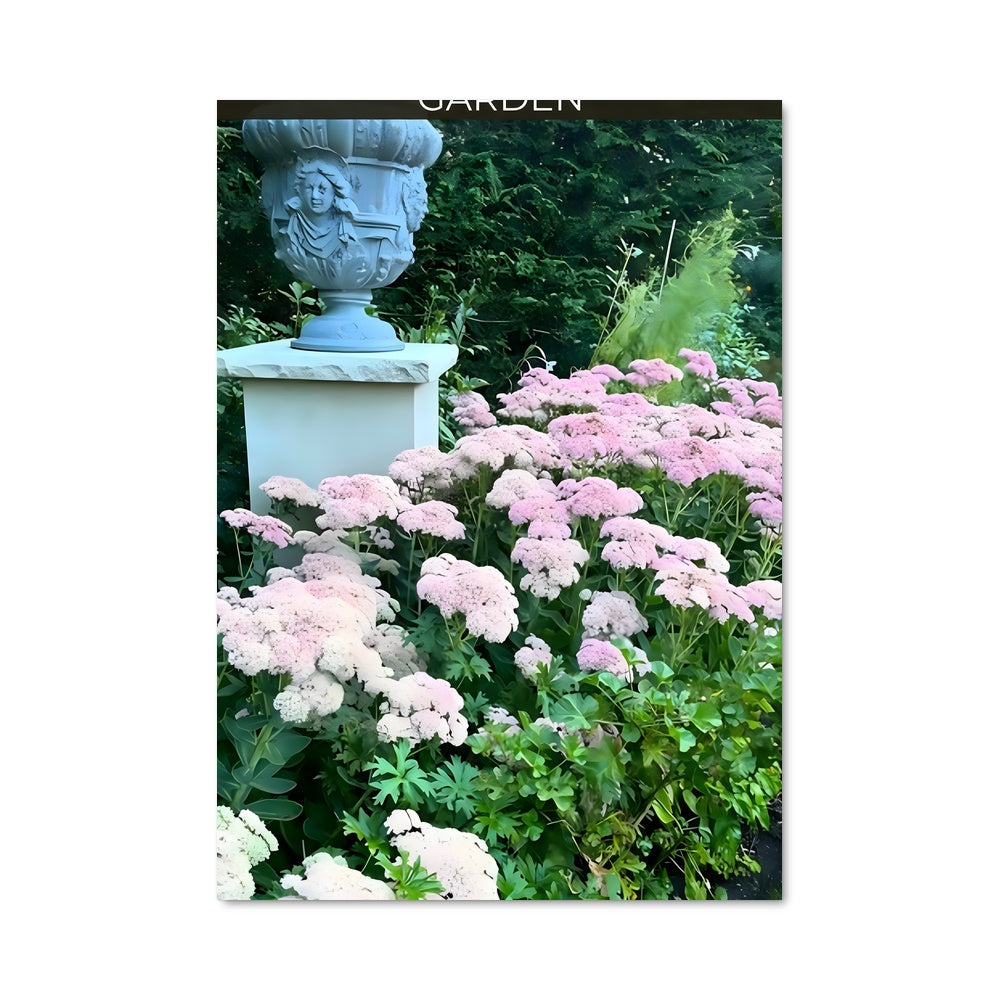 Poster Sedum 96358