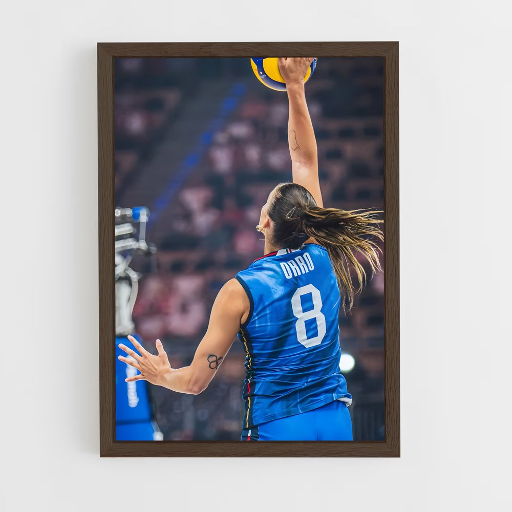 ap-serie a1 italy volleyball-1 cadre Bois foncé