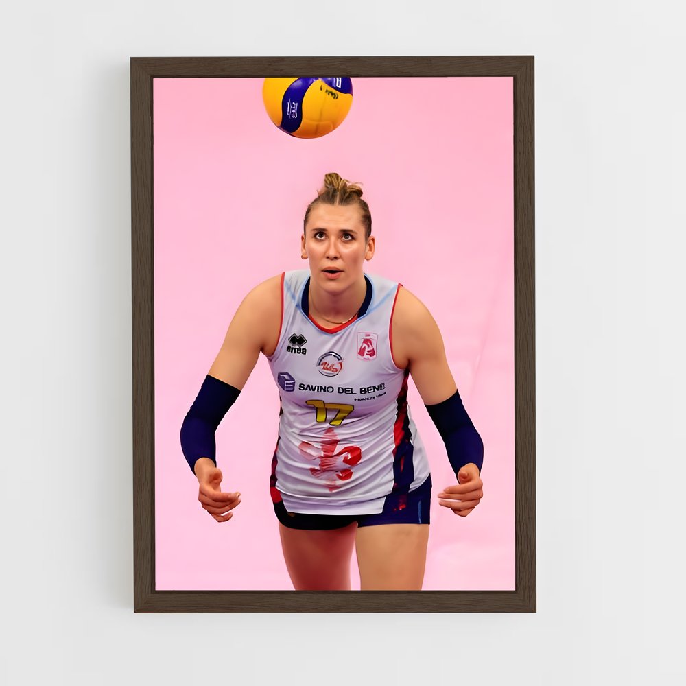 ap-serie a1 italy volleyball-2 cadre Bois foncé
