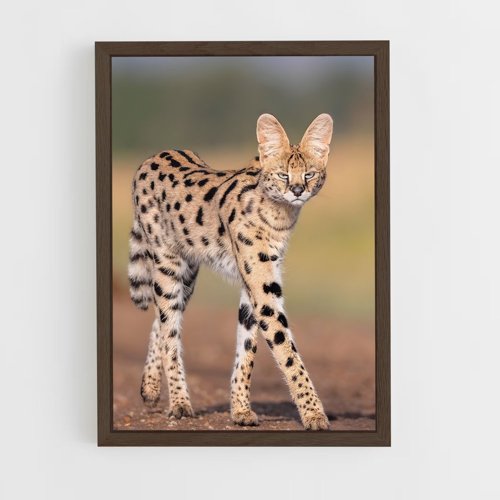 ap-serval-1 cadre Bois foncé