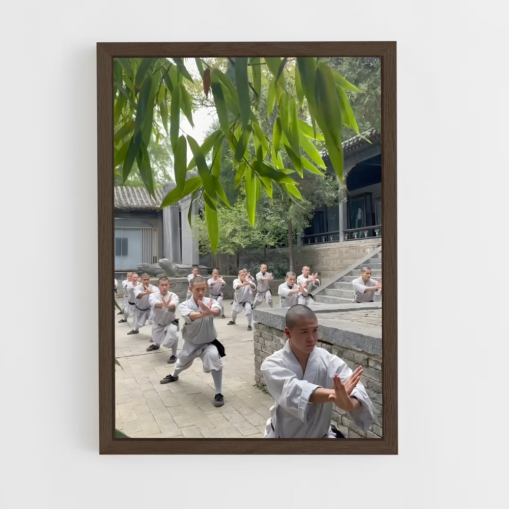 ap-shaolin temple-6 cadre Bois foncé