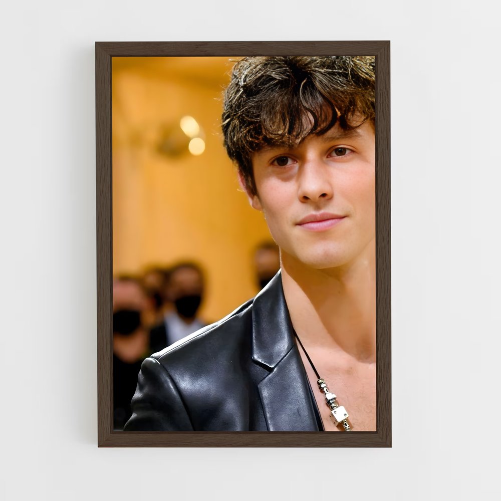 ap-shawn mendes-2 cadre Bois foncé