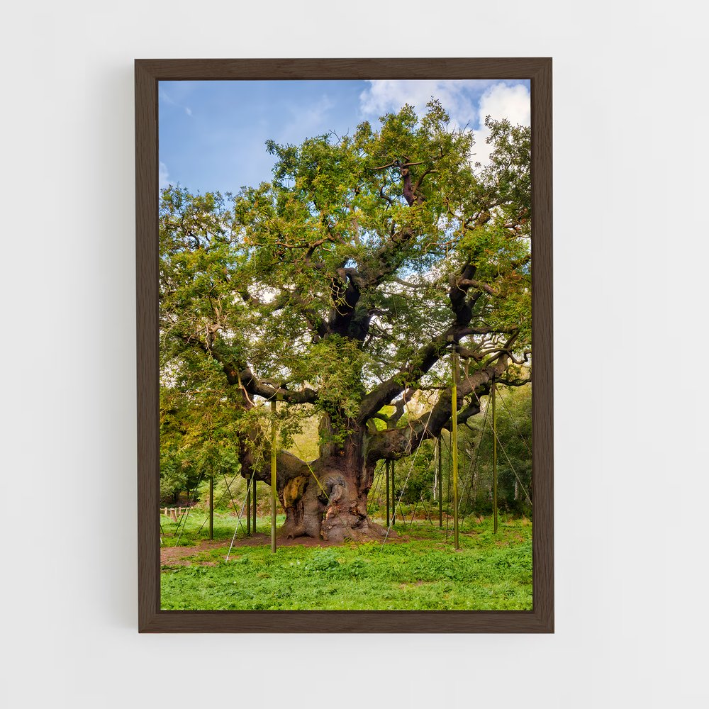 ap-sherwood forest-3 cadre Bois foncé