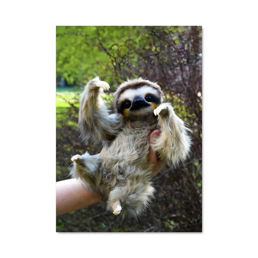 Poster Paresseux Étoilé