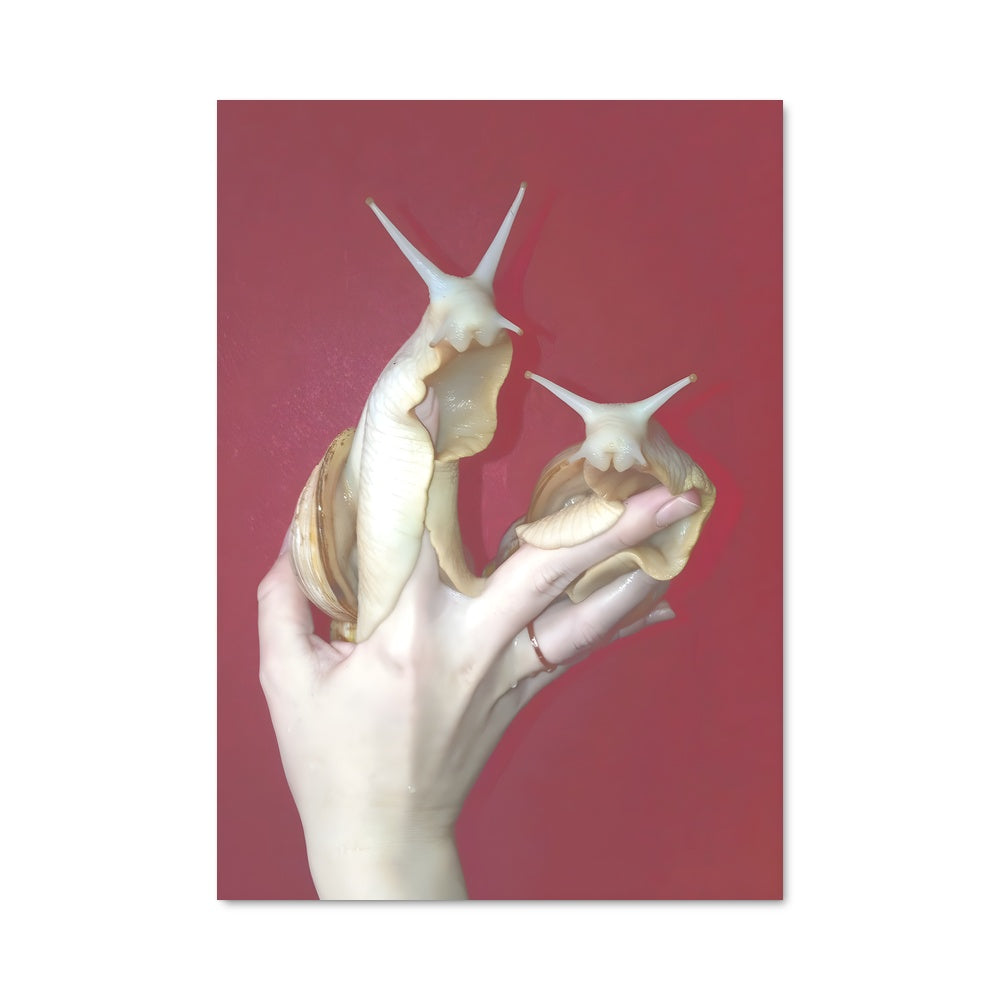 Poster Escargots Enchantés