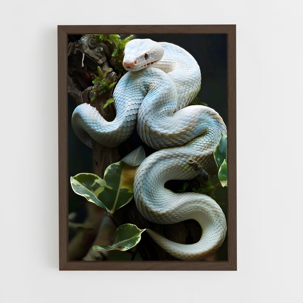 ap-snake-3 cadre Bois foncé