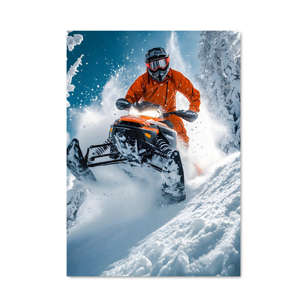 Poster Snowmobiles 81565