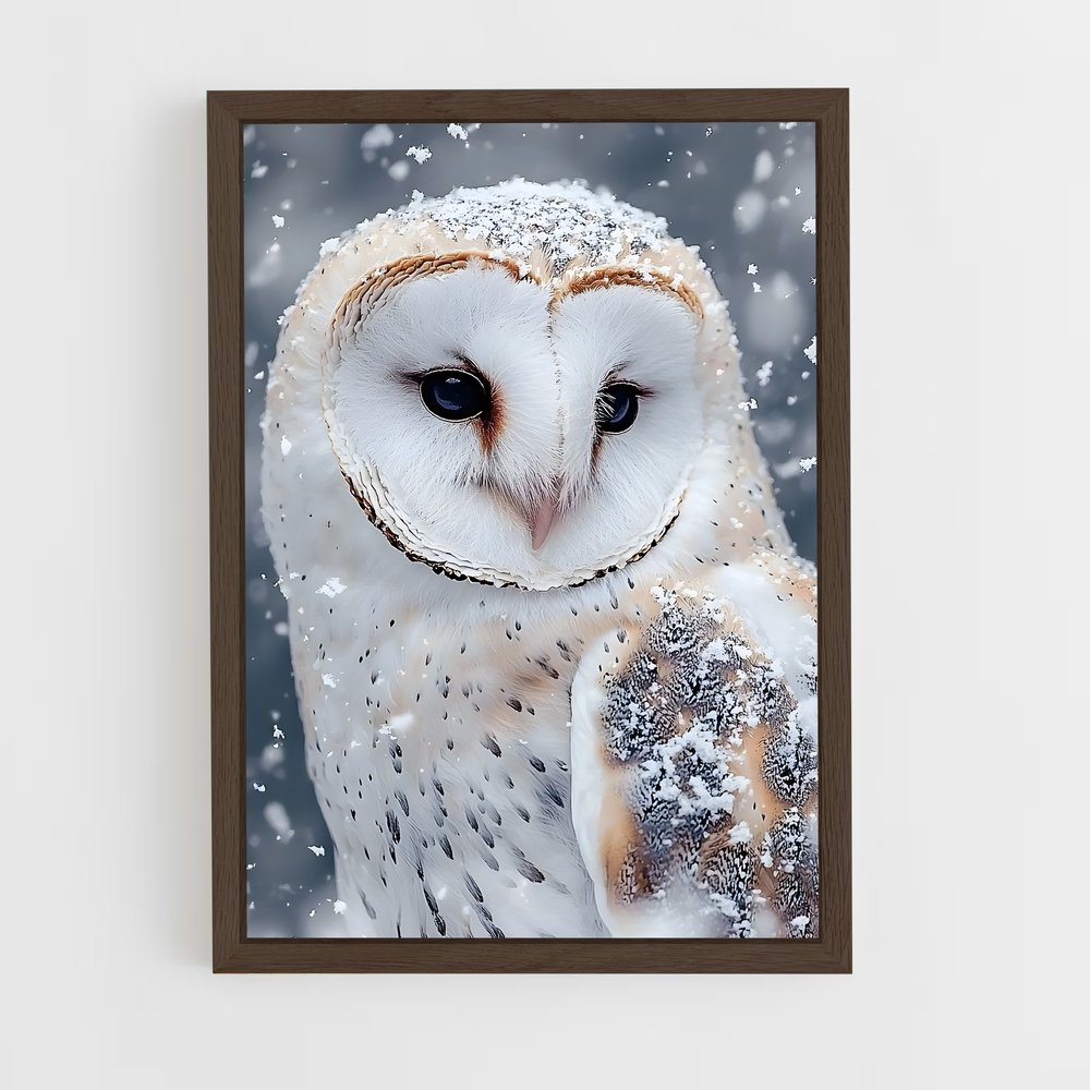 ap-snowy owl-10 cadre Bois foncé