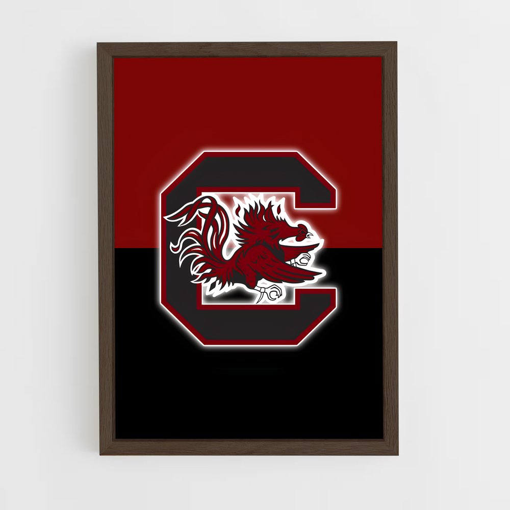ap-south carolina gamecocks-3 cadre Bois foncé