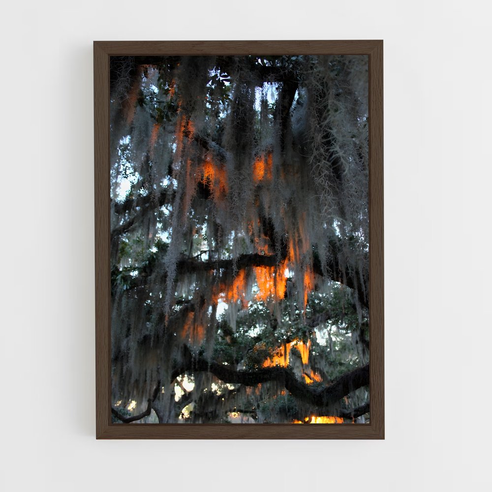 ap-spanish moss-6 cadre Bois foncé