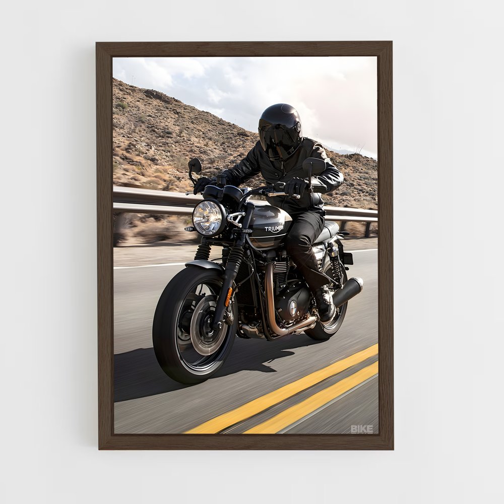 ap-speed twin-1 cadre Bois foncé