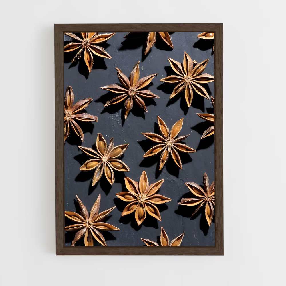 ap-star anise-4 cadre Bois foncé