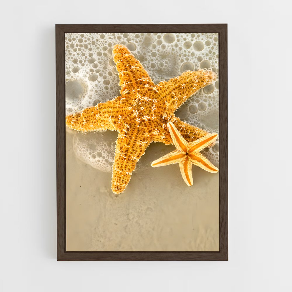 ap-starfish-5 cadre Bois foncé