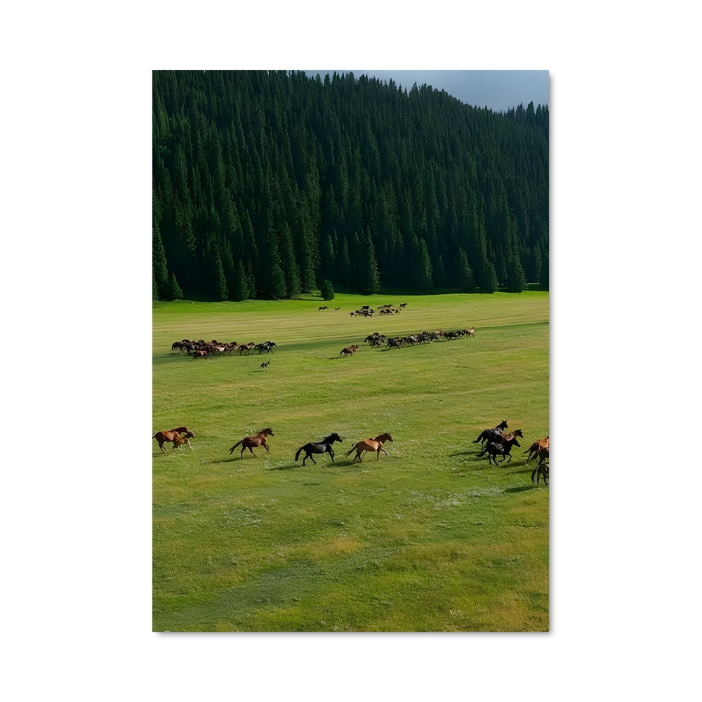 Poster Steppe 97394
