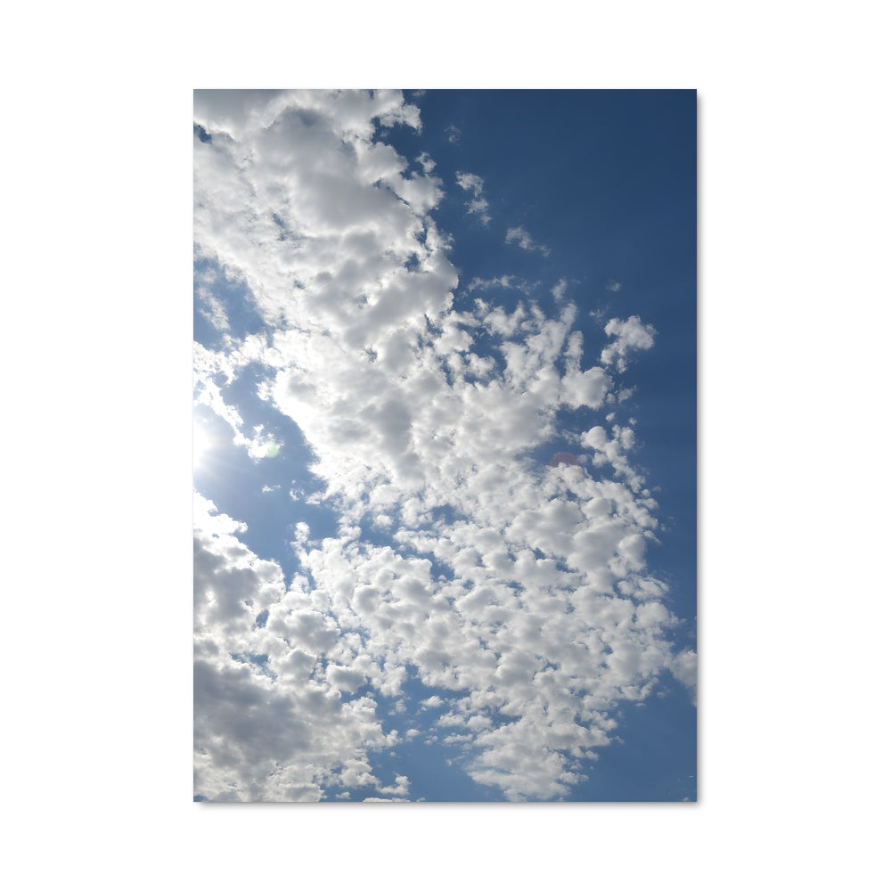 Poster L'Envol Radieux