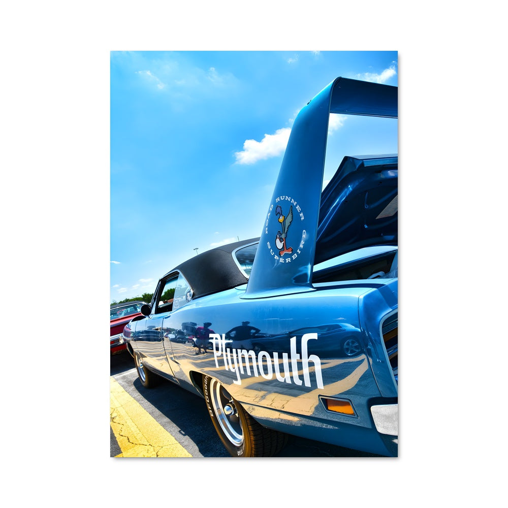 Poster Superbird Racer