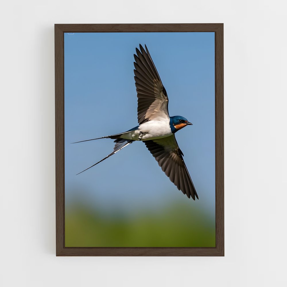 ap-swallow-3 cadre Bois foncé