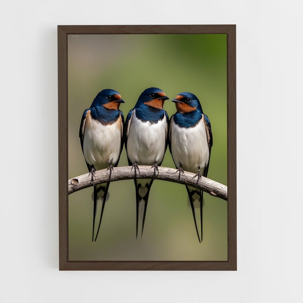 ap-swallow-6 cadre Bois foncé