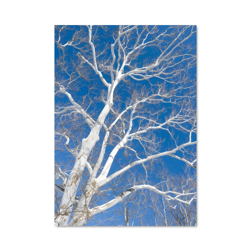 Poster Arbre de Ciel